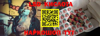 mdpv Гатчина