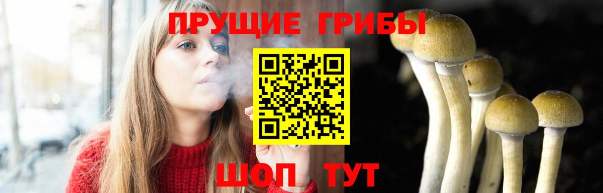 Псилоцибиновые грибы прущие грибы Воткинск